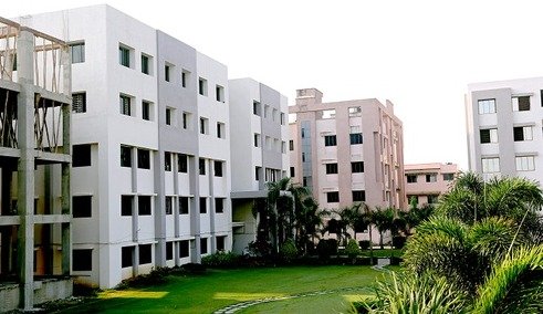 Bachelor of Homeopathic Medicine and Surgery (BHMS)                    