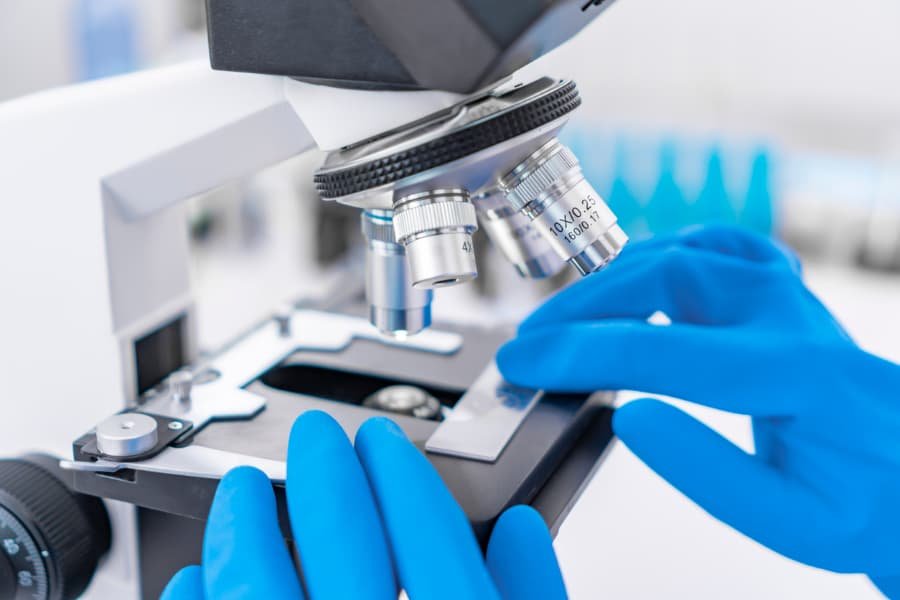 MD in Pathology (MD Pathology)