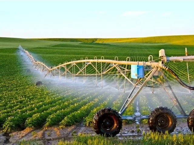 B.Sc in Agriculture 