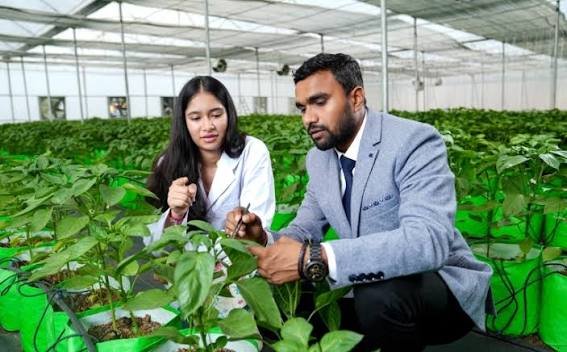M.Sc. Agriculture