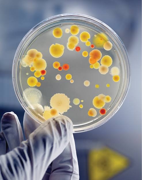 M.Sc. Microbiology