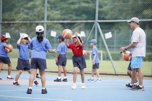 Bachelor of Physical Education and Sports